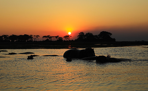 Sunset - Kafue NP