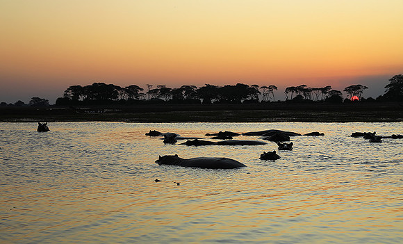 Sunset - Kafue NP
