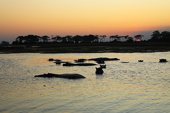 Sunset - Kafue NP