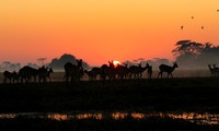 Sunrise - Kafue NP