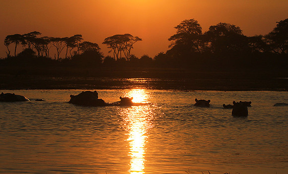 Sunset - Kafue NP