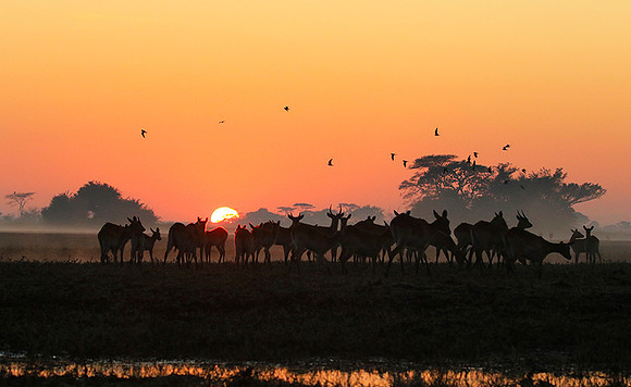 Sunrise - Kafue NP