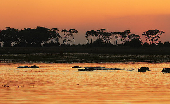 Sunset - Kafue NP