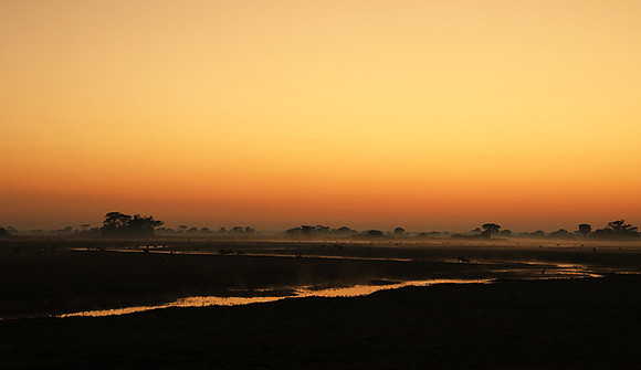 Sunrise - Kafue NP