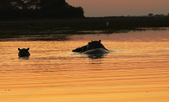 Sunset - Kafue NP