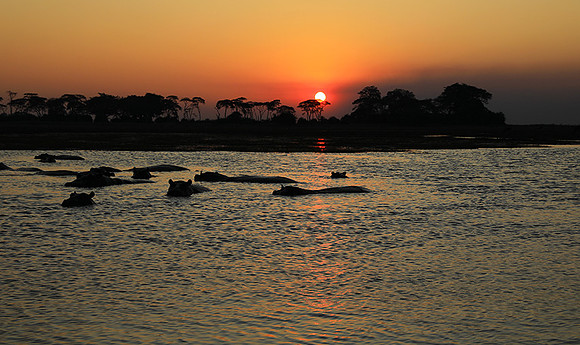 Sunset - Kafue NP
