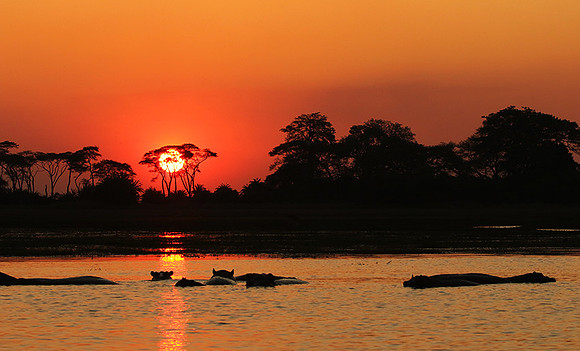 Sunset - Kafue NP