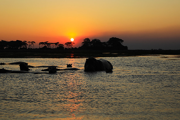 Sunset - Kafue NP