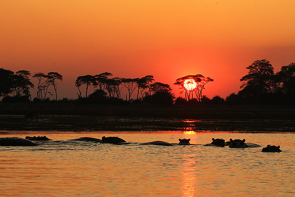 Sunset - Kafue NP
