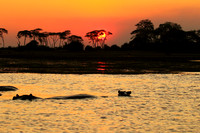 Sunset - Kafue NP