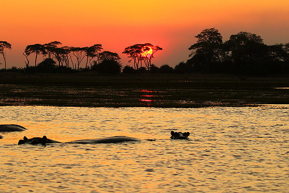 Sunset - Kafue NP