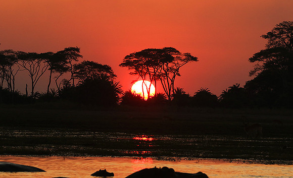 Sunset - Kafue NP