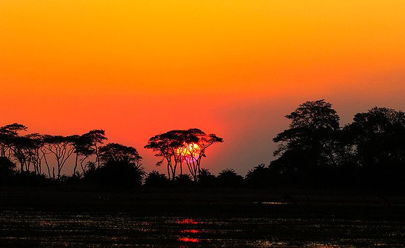 Sunset - Kafue NP
