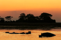 Sunset - Kafue NP