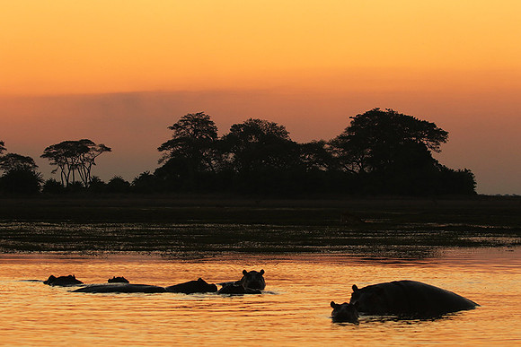 Sunset - Kafue NP