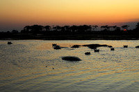 Sunset - Kafue NP