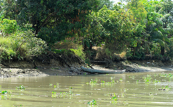 Vietnam - life on a channel