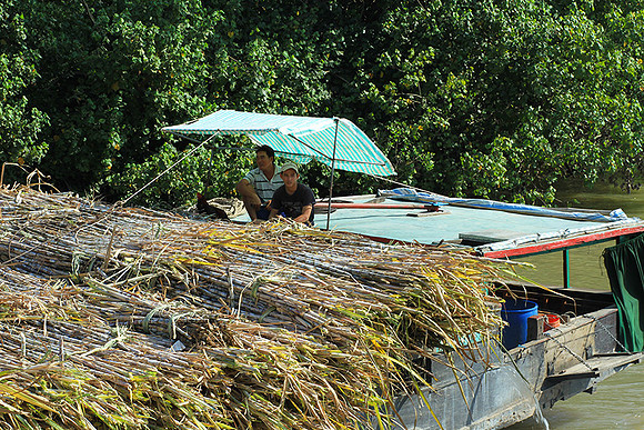 Vietnam - life on water