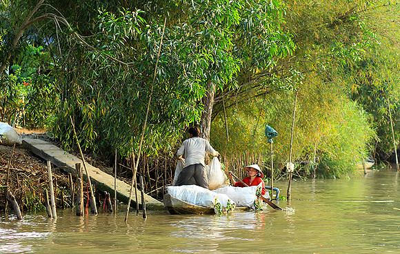 Vietnam - life on a channel