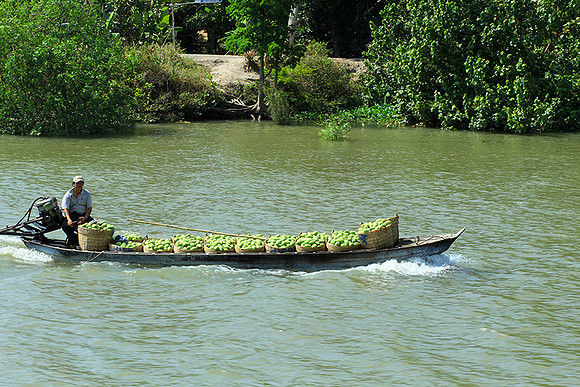 Vietnam - life on water