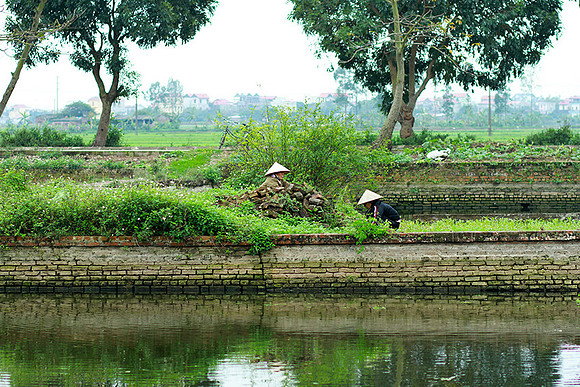 Vietnam