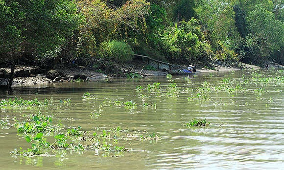 Vietnam - life on a channel