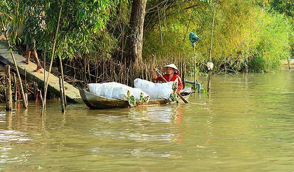 Vietnam - life on a channel