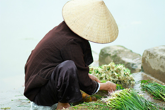 Vietnam