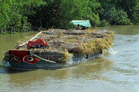 Vietnam - life on water