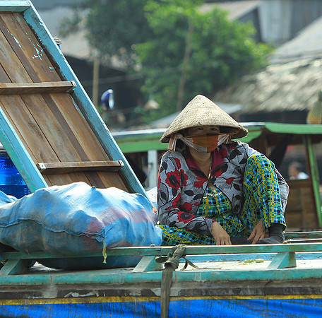 Vietnam - floating market
