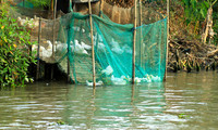 Vietnam - life on a channel