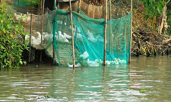 Vietnam - life on a channel