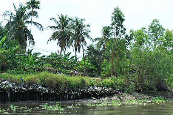 Vietnam - life on a channel