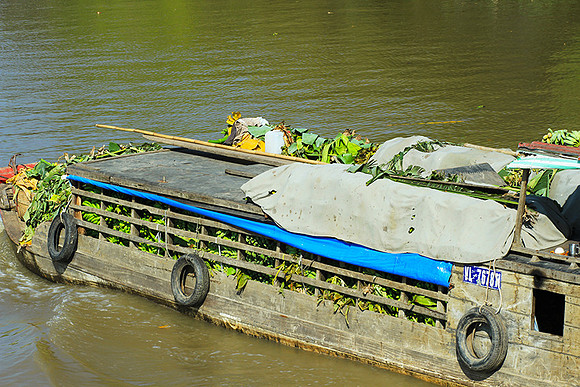 Vietnam - life on water
