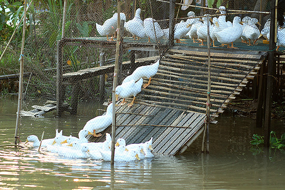 Vietnam - life on a channel