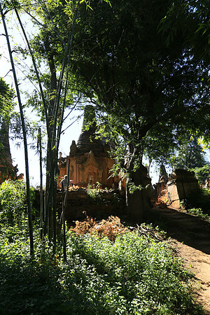Inn Dein stupa forest - Inle lake