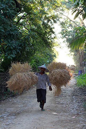 Sittwe