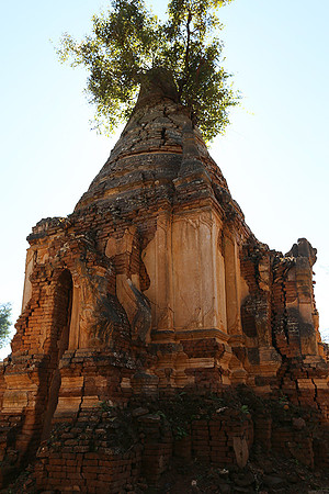 Inn Dein stupa forest - Inle lake