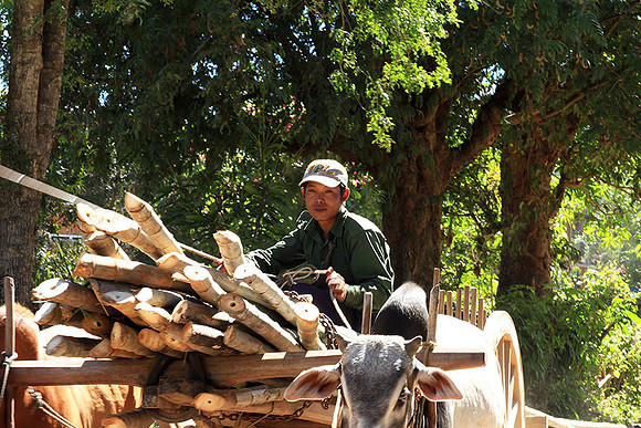 At lake Inle