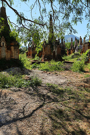 Inn Dein stupa forest - Inle lake
