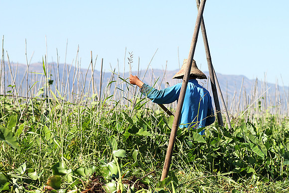 At lake Inle
