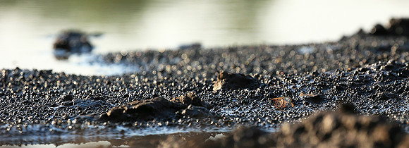 At the waterhole - Mashatu game reserve