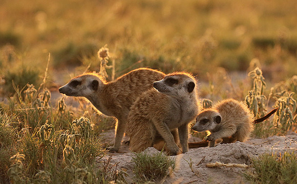 Makgadikgadi