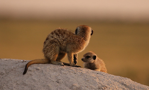 Makgadikgadi