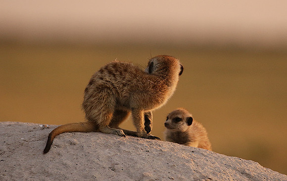 Makgadikgadi