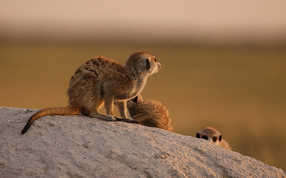 Makgadikgadi