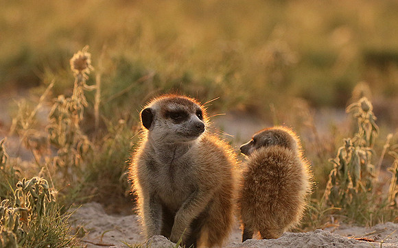 Makgadikgadi