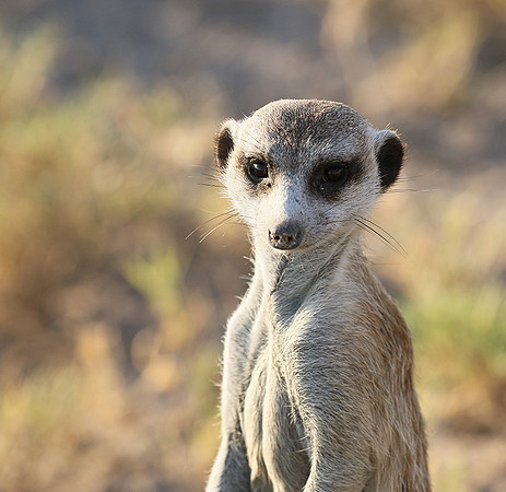 Makgadikgadi
