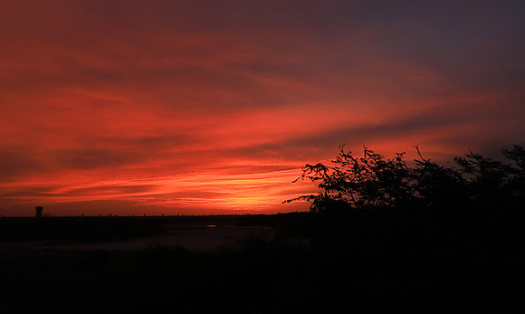 Sunrise