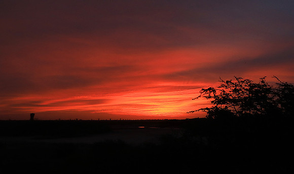 Sunrise